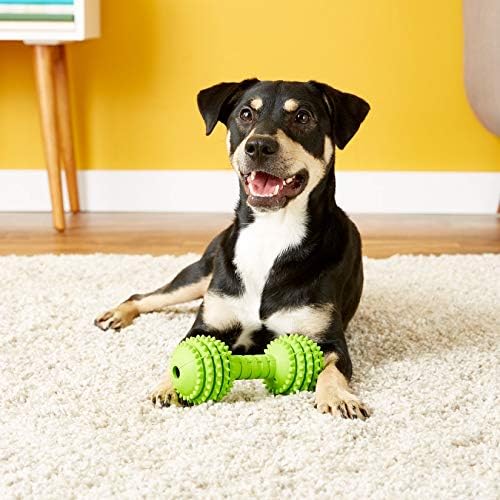 JW Pet Chompion Heavyweight Dog Chew Toy for Large Breeds, Assorted Colors
