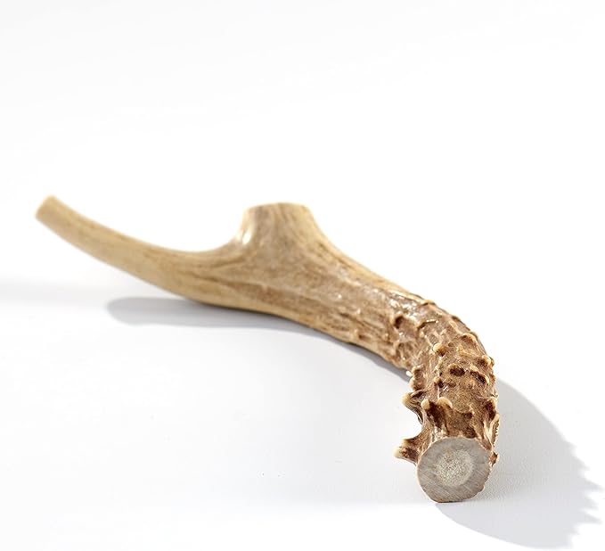 Buck Bone Organics Deer Antler Dog Bones, Premium Grade A - Natural Dog Treat, Made in Montana (Medium)