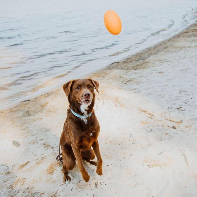 Hound2O Outdoor Dog Toys - Squeaky Football, Orange - Tough, Engaging, & Interactive Toy for All Breeds- Chew, Chase, & Fetch - Durable Non-Toxic Materials That Float - Easy to Clean for Outdoor Play