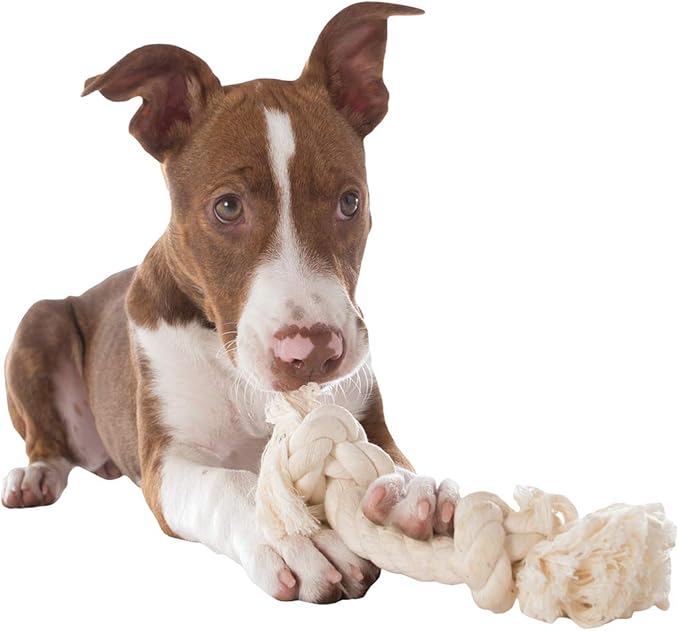 Mammoth Flossy Chews 100 Percent Natural Cotton Rope Dog Toys - Premium White Knot Dog Rope Toy - Interactive Dog Tug Toy - Tug Dog Chew Toy for Small Dogs - Mini 6"