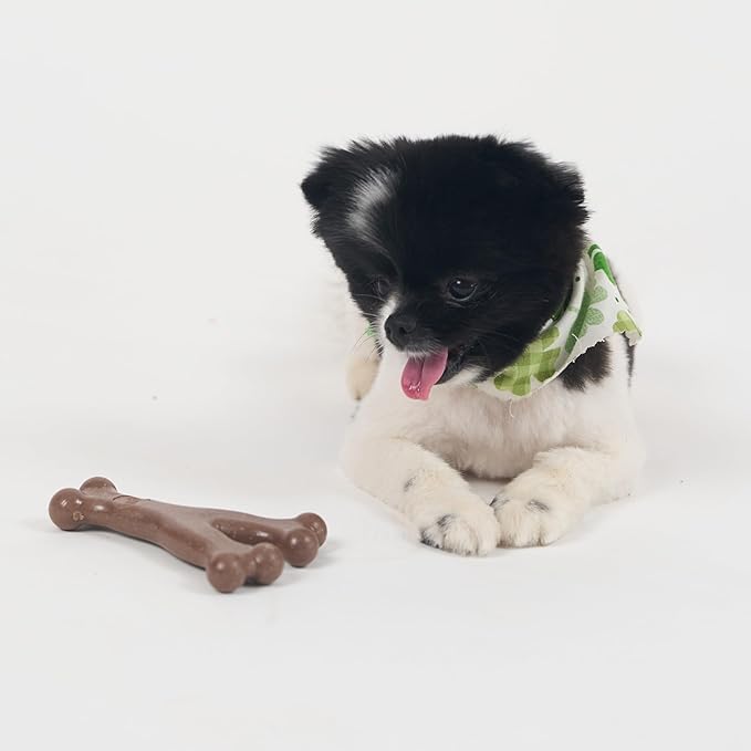 SPOT Bam-Bones Wishbone - Made with Strong Bamboo Fiber, Durable Long Lasting Dog Chew for Light to Moderate Chewers, Great Toy for Adult Dogs & Teething Puppies Under 30lbs, 5.25in, Bacon Flavor