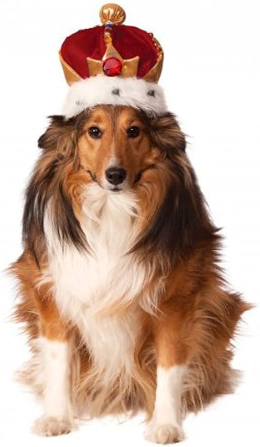 Rubie's King's Crown Pet Costume Accessory, Medium/Large