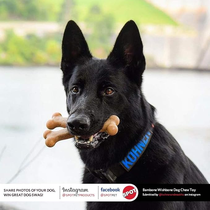 SPOT Bam-Bones Wishbone - Made with Strong Bamboo Fiber, Durable Long Lasting Dog Chew for Light to Moderate Chewers, Great Toy for Adult Dogs & Teething Puppies Under 50lbs, 7in, Chicken Flavor
