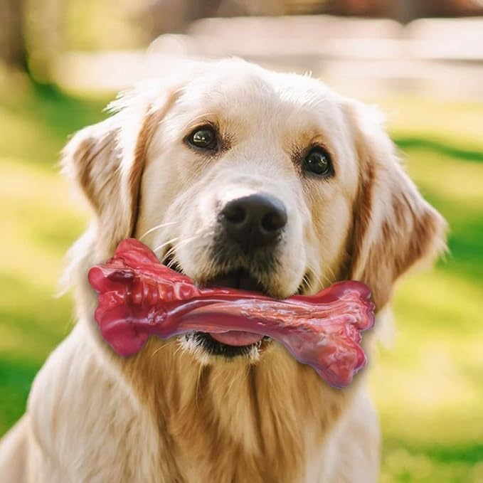Dog Chew Toy, Washable Dental Care Bone, Durable All-Time Pet Toy