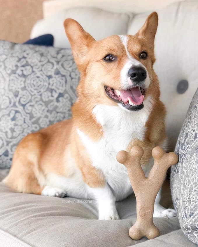 SPOT Bam-Bones Wishbone - Made with Strong Bamboo Fiber, Durable Long Lasting Dog Chew for Light to Moderate Chewers, Great Toy for Adult Dogs & Teething Puppies Under 30lbs, 5.25in, Bacon Flavor