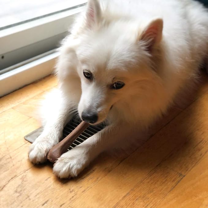 SPOT Bam-Bones Bone - Made with Strong Bamboo Fiber, Durable Long Lasting Dog Chew for Light to Moderate Chewers, Great Toy for Adult Dogs & Teething Puppies Under 25lbs, 5.75in, Bacon Flavor