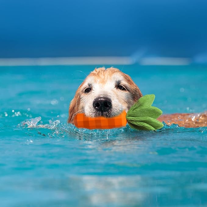 MewaJump Dog Squeaky Chew Toys for Aggressive Chewers, Rubber Carrot Dog Toys for Training and Cleaning, Durable Interactive Tough Dog Toy for Puppy Medium Dogs