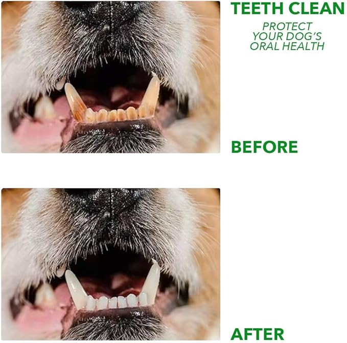 Dog Chew Toy, Washable Dental Care Bone, Durable All-Time Pet Toy