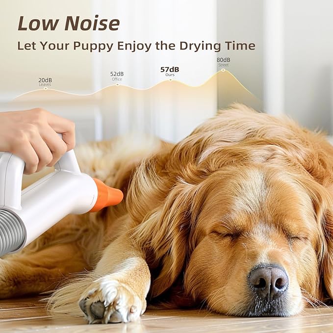 Dog Blower Grooming Dryer for Beginner - Maximum 495ft/s High Velocity Pet Blow Dryer with Cool-Warm-Hot Cycle Mode, Adjustable Temp & Speed, Dog Dryer with 4 Nozzles and Up to 6.56ft Flexible Hose