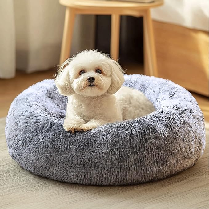 JOLLYVOGUE Dog & Cat Bed, Calming Anti-Anxiety Pet Bed for Small Dogs, Fluffy Donut Cushion for Small and Medium Pets (20")