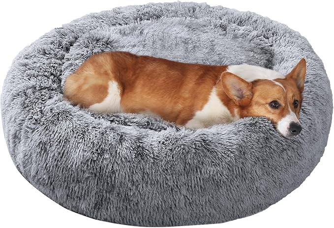 JOLLYVOGUE Dog & Cat Bed, Calming Anti-Anxiety Pet Bed for Small Dogs, Fluffy Donut Cushion for Small and Medium Pets (20")