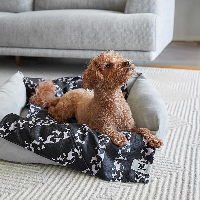 Dock & Bay Pet Towel - Super Absorbent & Quick Drying Dog Towels with Bag - 100% Recycled - Walkies in The Park, Medium (90x50cm, 35x19)