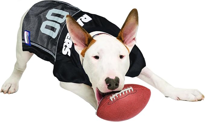NFL OAKLAND RAIDERS DOG Jersey, XX-Large