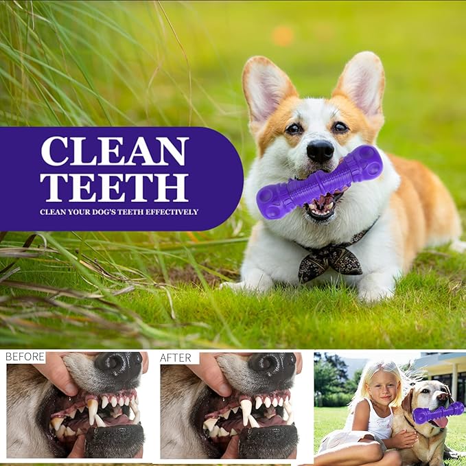 Dog Squeaky Toys for Aggressive Chewers, Durable Chew Toys for Large Medium Breed Dog, Tough Durable Dogs Toys with Natural Rubber