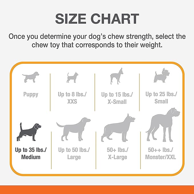Nylabone Puppy Stages Chew Toy Set, Teething and Chewing Toys for Growing Puppies, Chicken, Maple Bacon, & Beef Jerky Flavors, Medium - Up to 35 lbs, 3 Pack