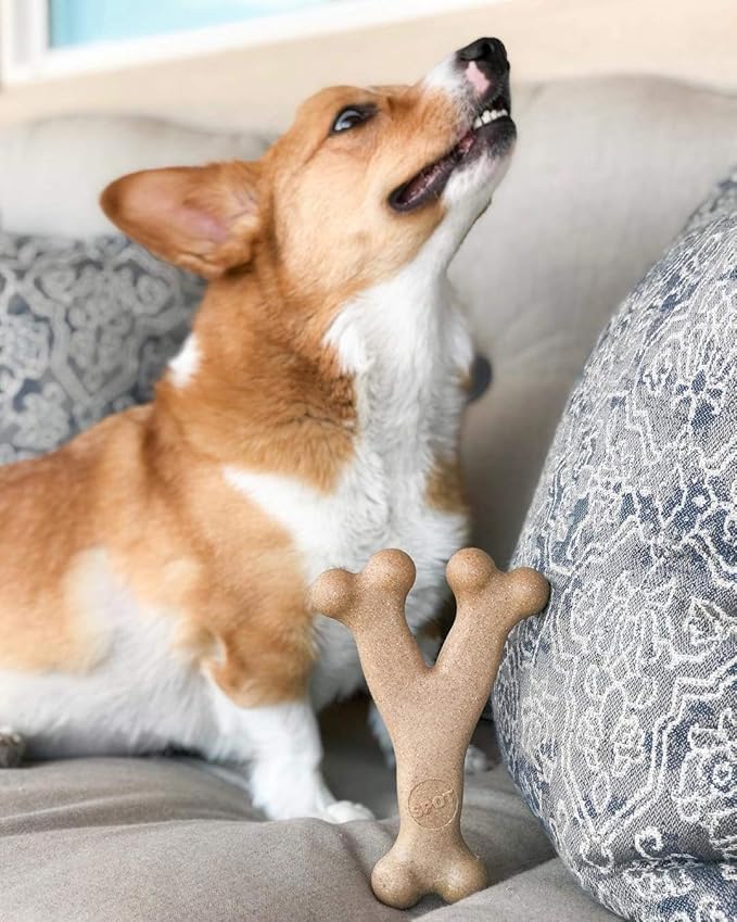 SPOT Bam-Bones Wishbone - Made with Strong Bamboo Fiber, Durable Long Lasting Dog Chew for Light to Moderate Chewers, Great Toy for Adult Dogs & Teething Puppies Under 50lbs, 7in, Chicken Flavor