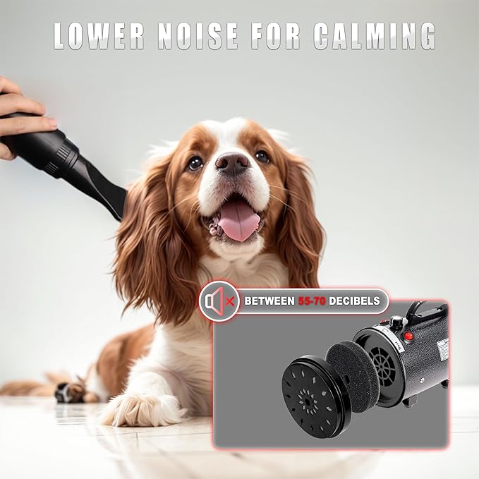 Dog Hair Dryer High Velocity Professional Dog Blow Dryer with Adjustable Speed Dog Pet Grooming Dryer Blower with 4 Nozzle 2 Blow Temperature(Black)