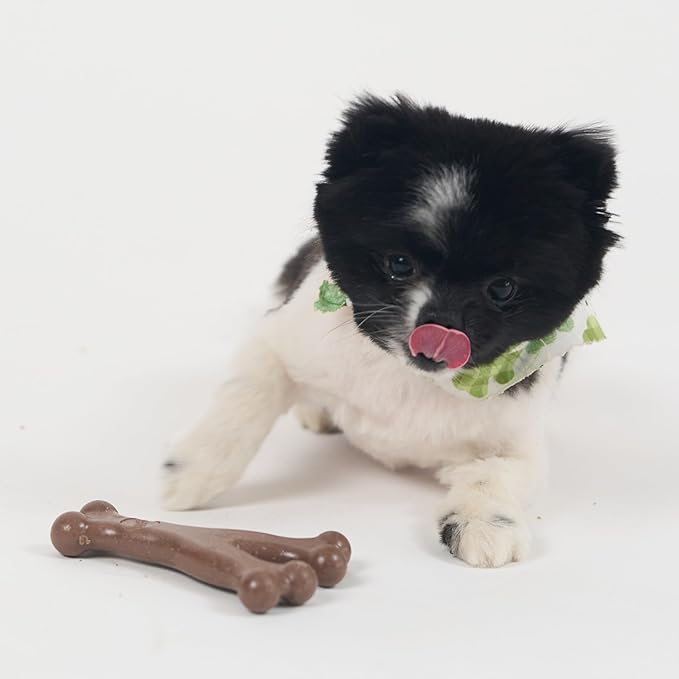 SPOT Bam-Bones Wishbone - Made with Strong Bamboo Fiber, Durable Long Lasting Dog Chew for Light to Moderate Chewers, Great Toy for Adult Dogs & Teething Puppies Under 30lbs, 5.25in, Bacon Flavor