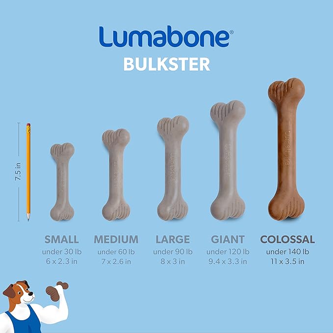 Bulkster Durable Chew Toy for Aggressive Chewers, Real Beef, Made in USA, Colossal