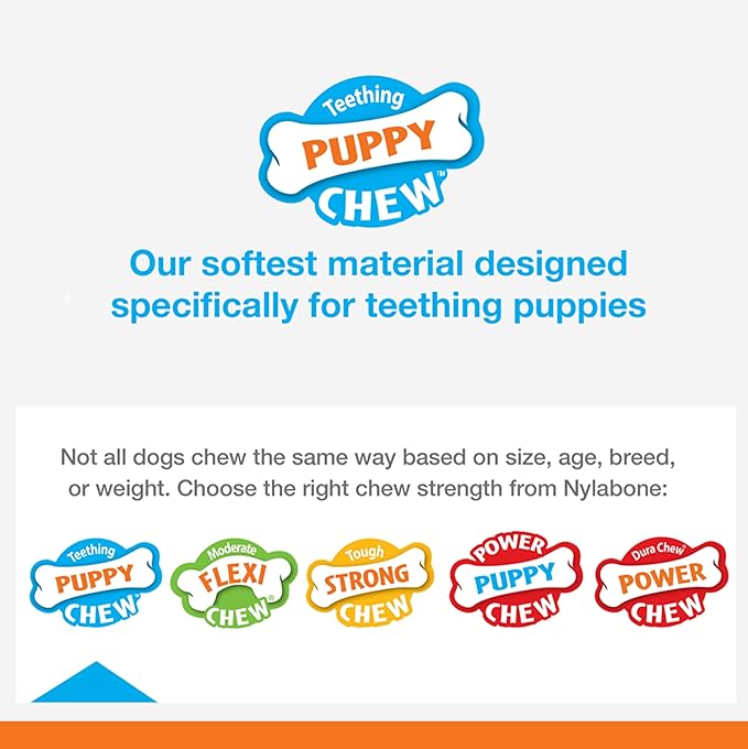 Nylabone Puppy Stages Chew Toy Set, Teething and Chewing Toys for Growing Puppies, Chicken, Maple Bacon, & Beef Jerky Flavors, Medium - Up to 35 lbs, 3 Pack