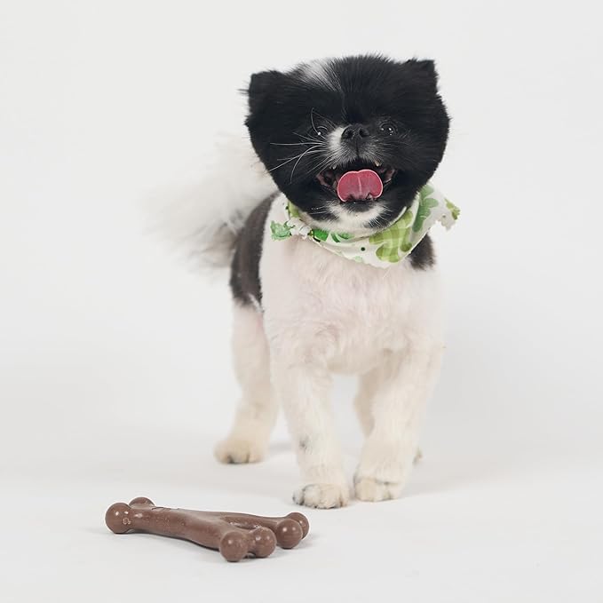 SPOT Bam-Bones Wishbone - Made with Strong Bamboo Fiber, Durable Long Lasting Dog Chew for Light to Moderate Chewers, Great Toy for Adult Dogs & Teething Puppies Under 30lbs, 5.25in, Bacon Flavor