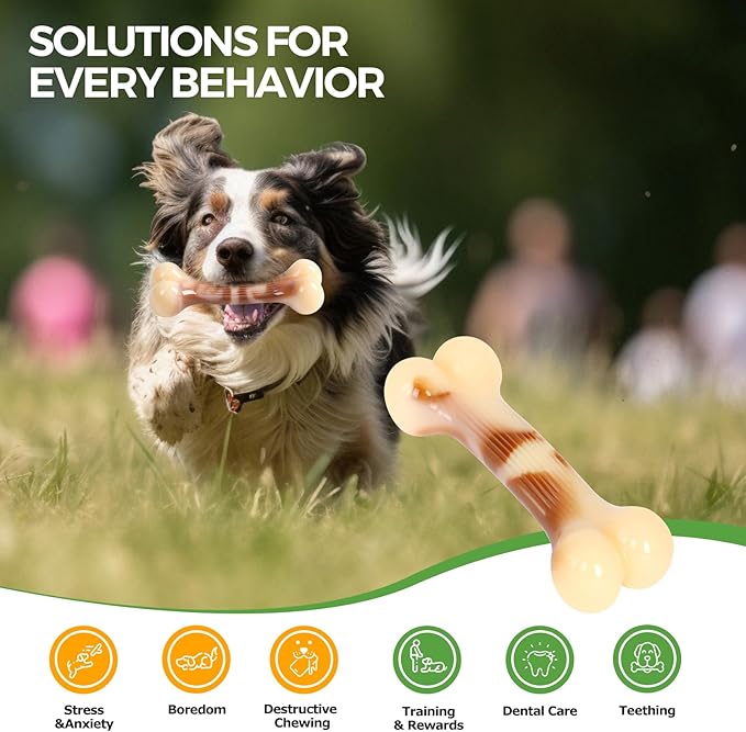 Dog Bone Goodie Bone Indestructible Chew Toy for Aggressive Chewers, Long Lasting Nylon Bone Tough Durable Dog Toys Puppy Toys Teeth Cleaning for Medium and Large Pets - 6"