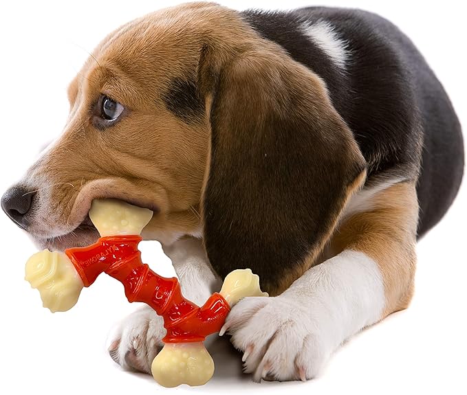 Nylabone Double Bone Power Chew Toy for Dogs, Dog Toys for Aggressive Chewers, Bacon Flavor, Medium - Up to 35 lbs, 1 Count