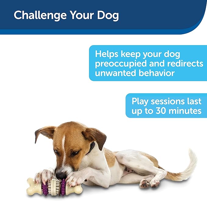 PetSafe® Busy Buddy® Bristle Bone®, Medium, Helps Keep Your Dog's Teeth Clean, Long-Lasting Playtime