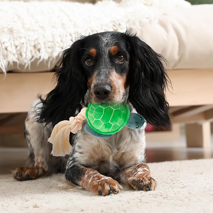 Ocean Collection Dog Toys | Small Sized Timmy The Turtle | Cute, Durable, & Sustainable Plush Chew Toys for Dogs up to 25 lbs | Eco Friendly & 100% Recycled Materials