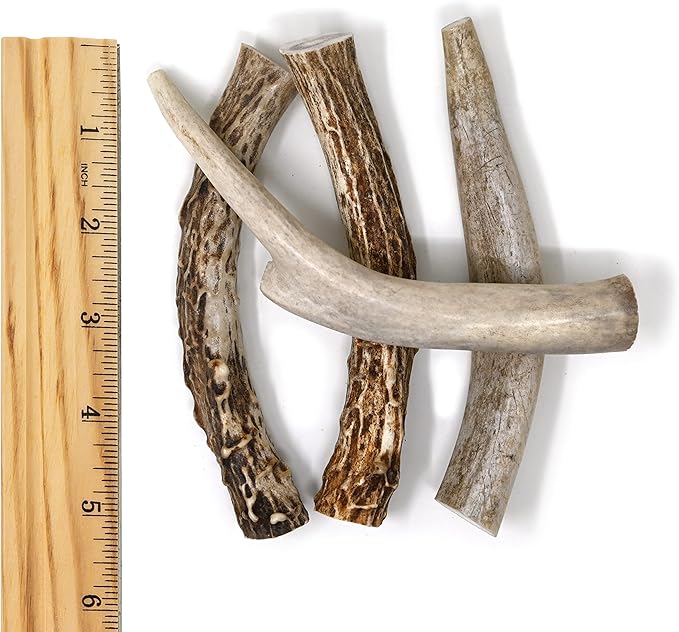 Buck Bone Organics Deer Antler Dog Bones, Premium Grade A - Natural Dog Treat, Made in Montana (Medium)