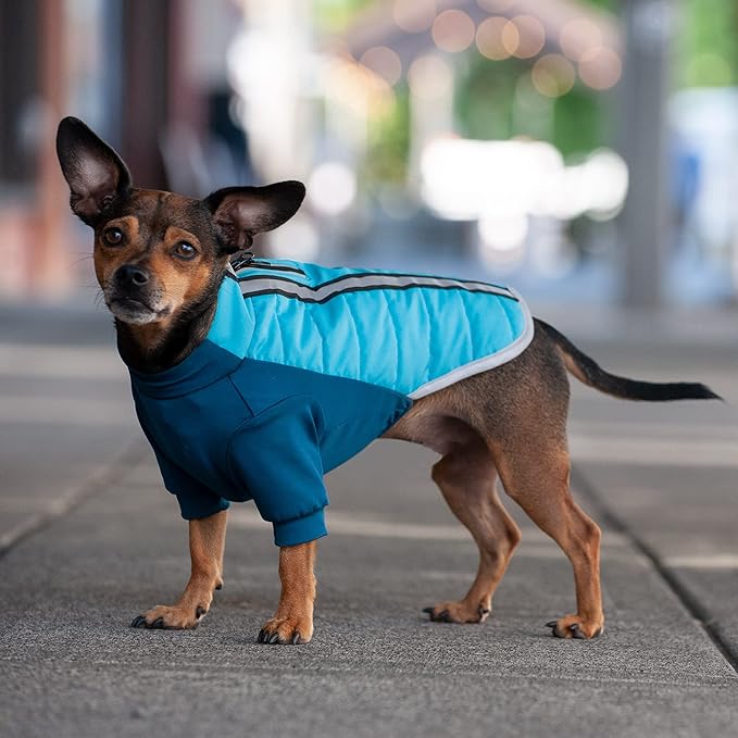Furhaven Water-Repellent XS Dog Coat, Washable w/ Leash Access & Stretch Fabric - Pro-Fit Active Jacket - Aquamarine, Extra Small