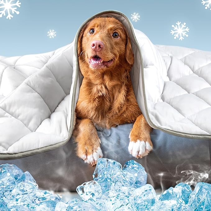 Leekalos Dog Cooling Mat,Pet Cooling Pads for Dogs Blanket,Summer Cooling Bed for Cats Blanket,Portable Pet Cooling Cushion for Home & Outdoor,Keep Cooling for Pets (Cool Grey, Small(22"x28"))