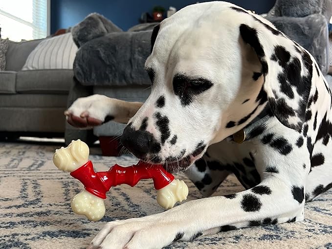 Nylabone Double Bone Power Chew Toy for Dogs, Dog Toys for Aggressive Chewers, Bacon Flavor, Medium - Up to 35 lbs, 1 Count
