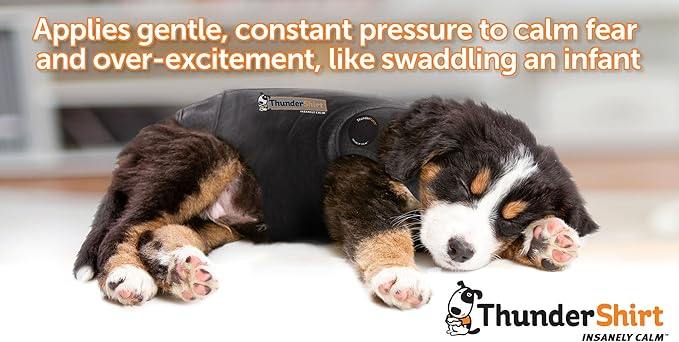 ThunderShirt for Dogs, Medium, Pink Polo - Dog Anxiety Vest