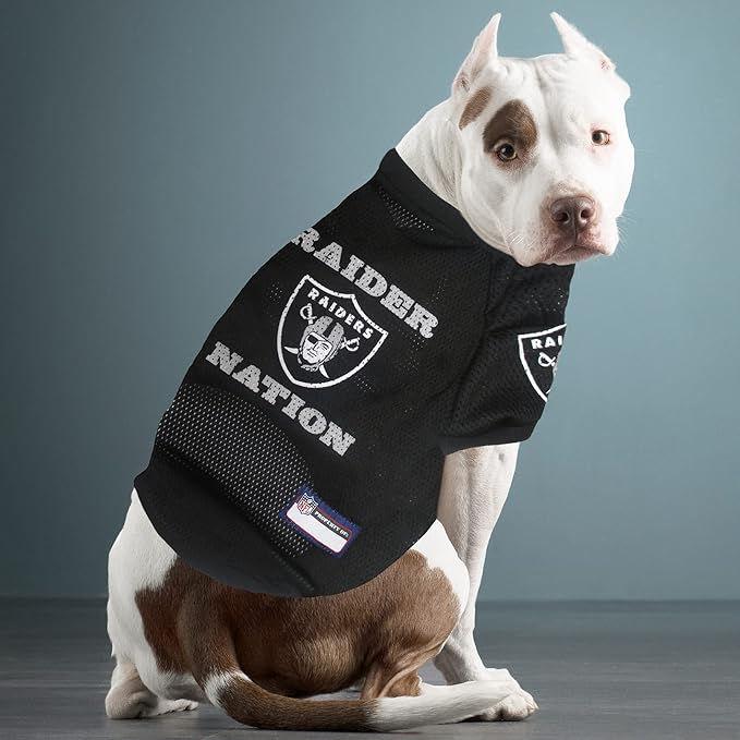 Pets First OAK-4000-SM Raiders Raglan Jersey, Multicolor, One Size