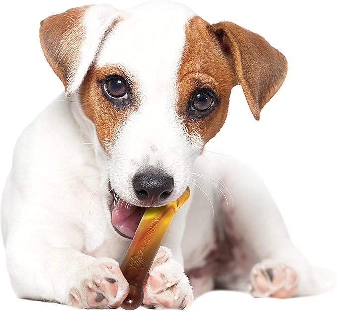 Nylabone Original Bone Power Chew Toy for Dogs, Durable Dog Toys for Aggressive Chewers, Flavor Frenzy Chili Cheese Dog, Popcorn, & Cherry, Small - Up to 25 Ibs, 3 Pack