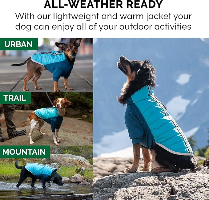Furhaven Water-Repellent XS Dog Coat, Washable w/ Leash Access & Stretch Fabric - Pro-Fit Active Jacket - Aquamarine, Extra Small