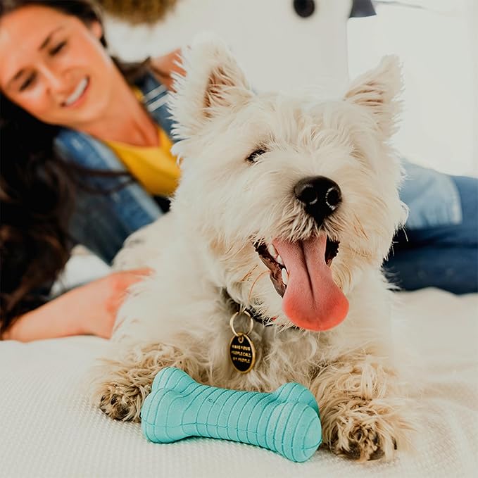 Playology Dual Layer Bone Toy for Small Dogs - Engaging All-Natural Peanut Butter Scented Durable Dog Chew Toy for Heavy Chewers - Easy to Clean - Interactive & Non-Toxic