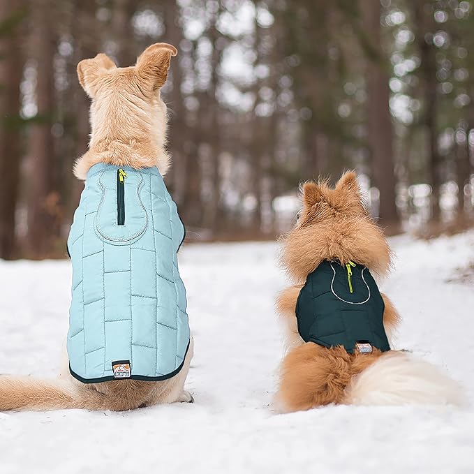 Kurgo Loft Dog Jacket, Reversible Dog Coat, Wear with Harness or Sweater, Water Resistant, Reflective, Winter Coat for Small Dogs (Ink Blue, S)