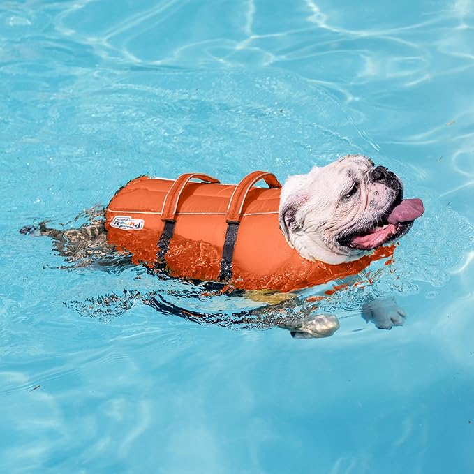 Outward Hound Granby Splash Dog Life Jacket, High-Buoyancy Dog Life Vest for Swimming, Boating, and Water Safety, XS, Orange
