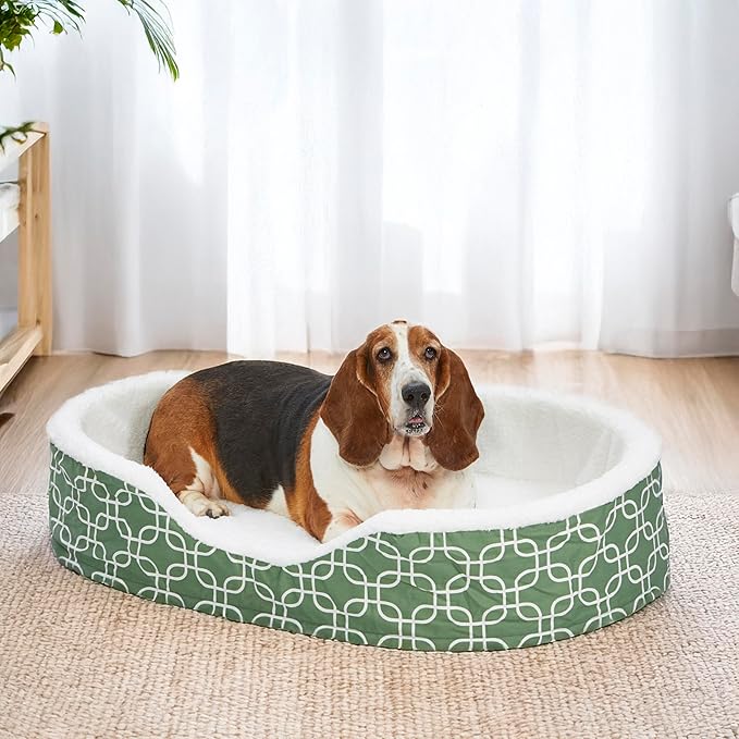 MidWest Homes for Pets Orthoperdic Egg-Crate Nesting Pet Bed w/Teflon Fabric Protector, XL Green