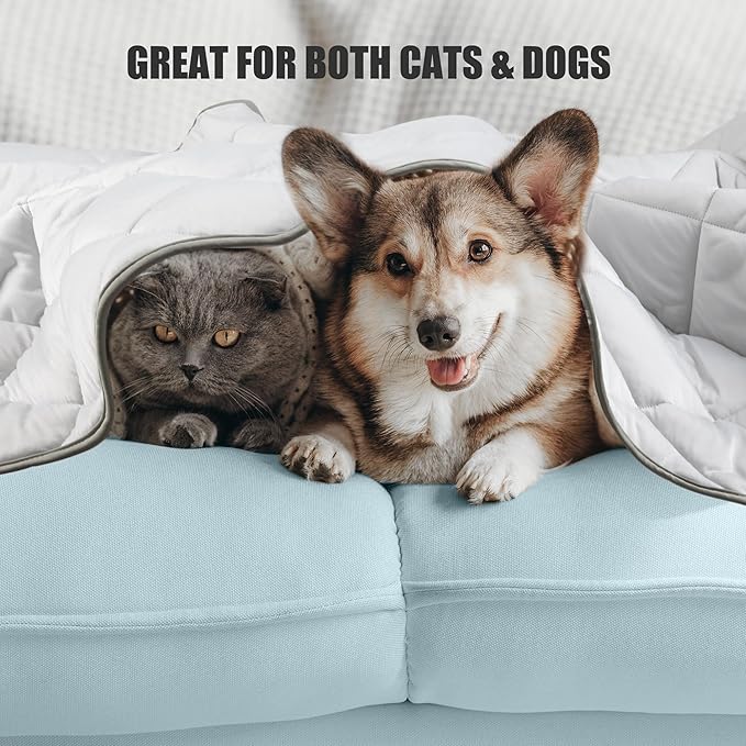 Leekalos Dog Cooling Mat,Pet Cooling Pads for Dogs Blanket,Summer Cooling Bed for Cats Blanket,Portable Pet Cooling Cushion for Home & Outdoor,Keep Cooling for Pets (Cool Grey, Small(22"x28"))