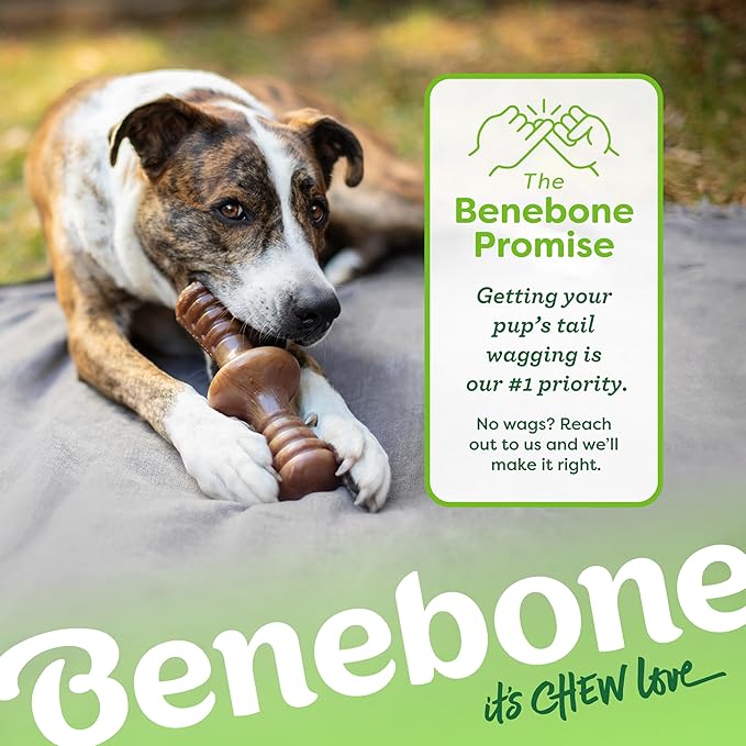 Benebone Zaggler Rolling Dog Chew Toy for Aggressive Chewers, Real Bacon, Made in USA, Small