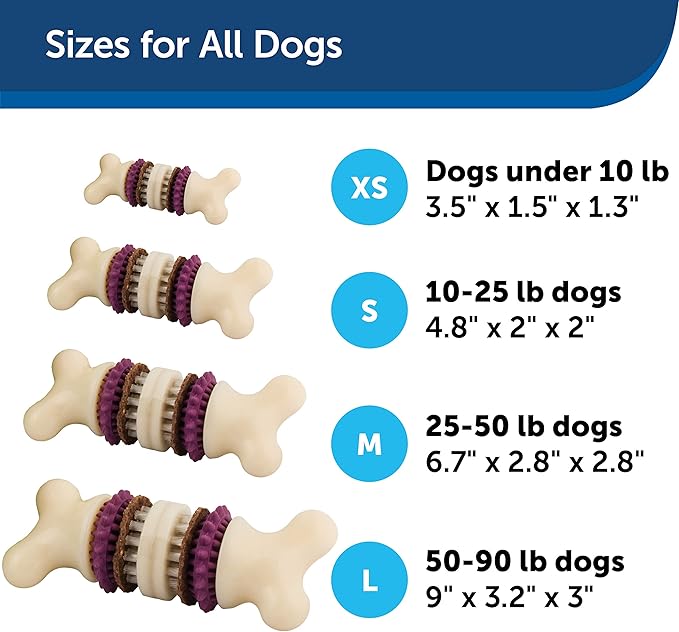 PetSafe® Busy Buddy® Bristle Bone®, Medium, Helps Keep Your Dog's Teeth Clean, Long-Lasting Playtime
