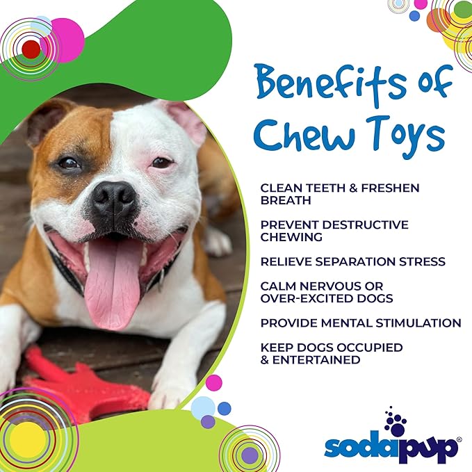 SodaPup Electric Guitar – Durable Dog Chew Toy Made in USA from Non-Toxic, Pet Safe, Food Safe Nylon Material for Mental Stimulation, Clean Teeth, Fresh Breath, Problem Chewing, Calming Nerves & More
