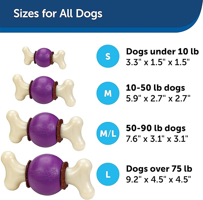 PetSafe® Busy Buddy® Bouncy Bone™, Treat Holding Dog Toy, Medium, Best for Dogs 10-50 Lb.
