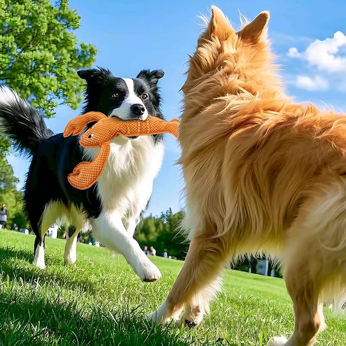 Dog Toy Squeaky Durable Chew Lobster Dog Toys No PP-Cotton,no Filling,no Stuffed for Small, Medium, Large Breed Dogs Interactive Hours of Fun Aggressive Toys