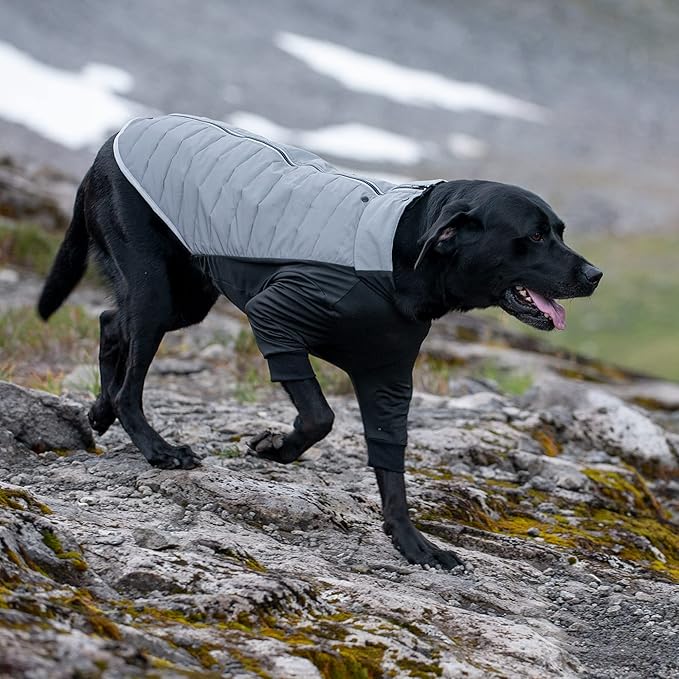 Furhaven Water-Repellent XL Dog Coat, Washable & Reflective w/ Leash Access & Stretch Fabric - Pro-Fit Active Jacket - Chrome, Extra Large