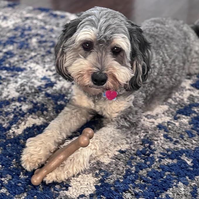 SPOT Bam-Bones Wishbone - Made with Strong Bamboo Fiber, Durable Long Lasting Dog Chew for Light to Moderate Chewers, Great Toy for Adult Dogs & Teething Puppies Under 50lbs, 7in, Chicken Flavor
