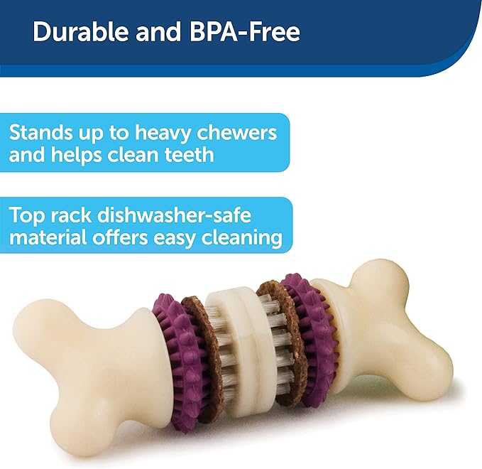 PetSafe® Busy Buddy® Bristle Bone®, Medium, Helps Keep Your Dog's Teeth Clean, Long-Lasting Playtime